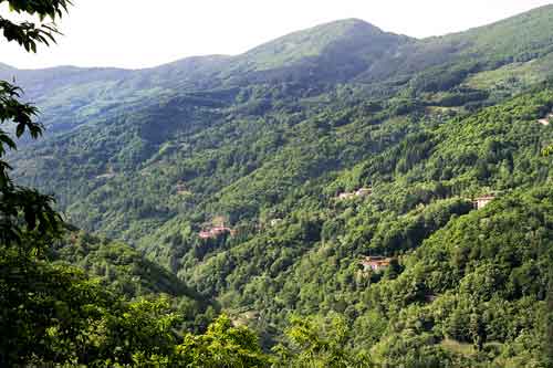 Valle di Orsigna